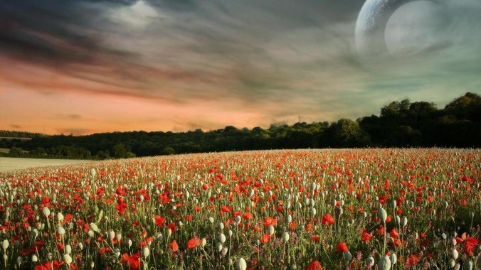 有什么是到了韩国才知道的事？